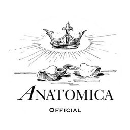 Anatomica logo