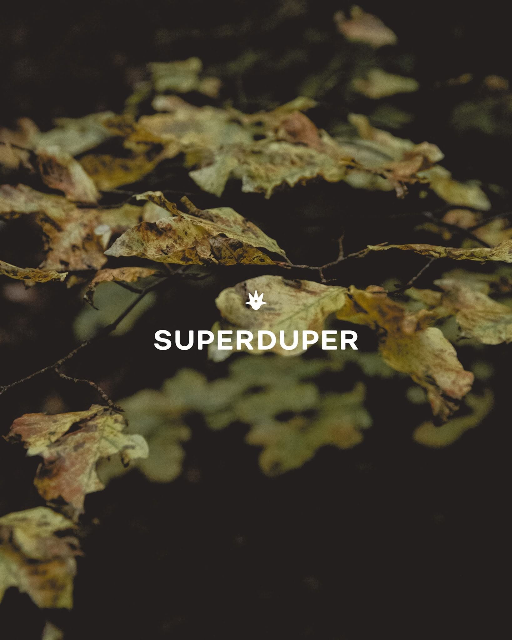 Superduper