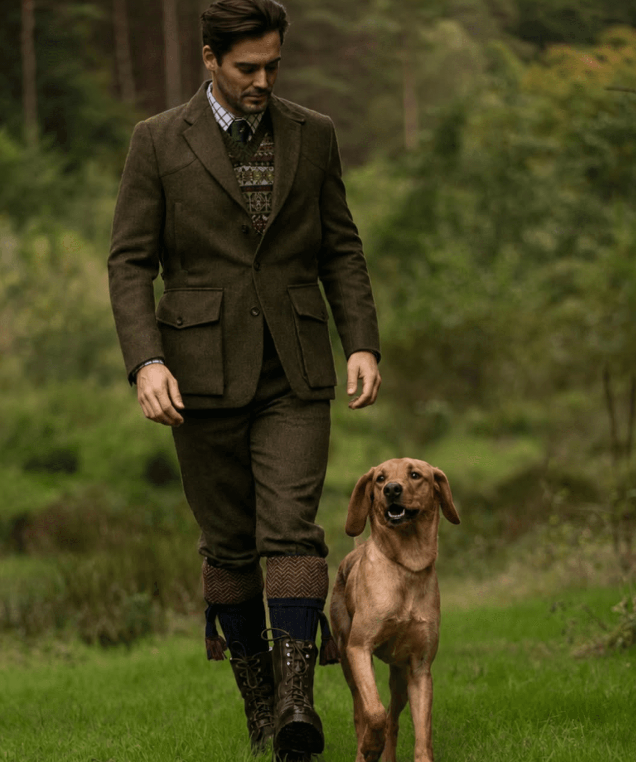 House of Cheviot 1