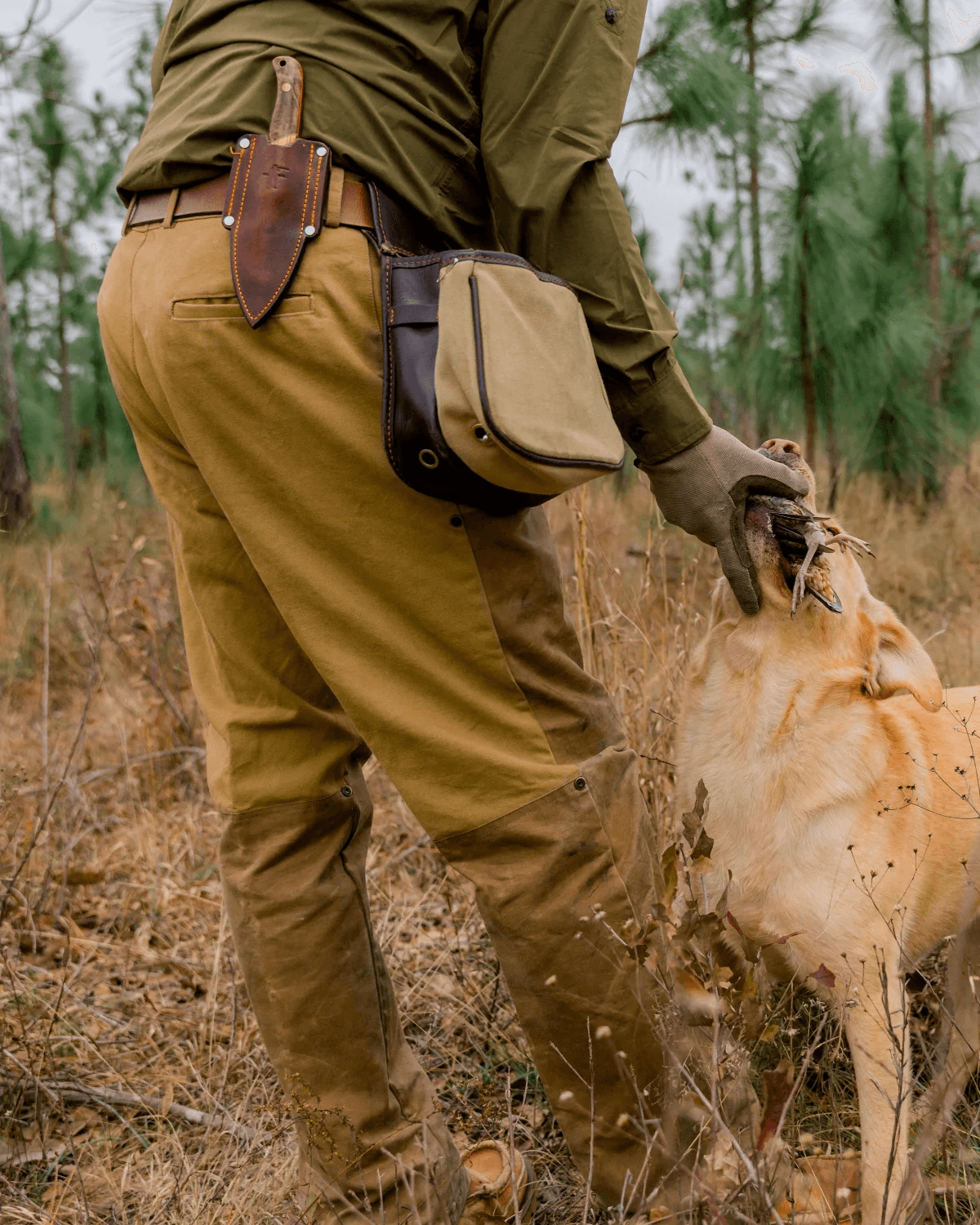 Ball and Buck 1