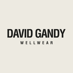 David Gandy Wellwear logo