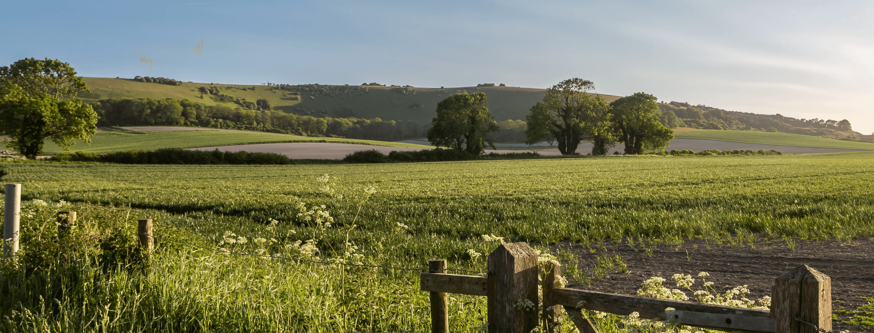 Tweed Outdoor